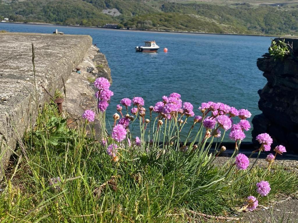 No6 Bed & Breakfast Barmouth Bagian luar foto
